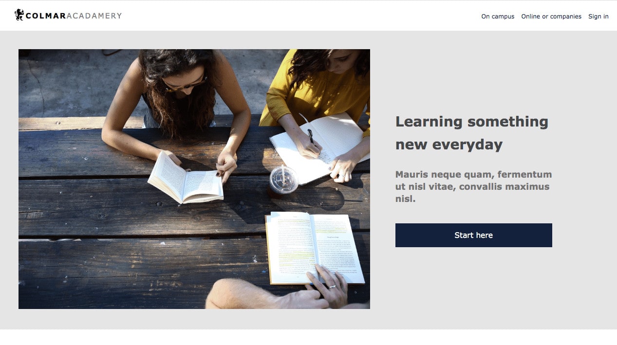 screenshot of a demo website Colmar Academy